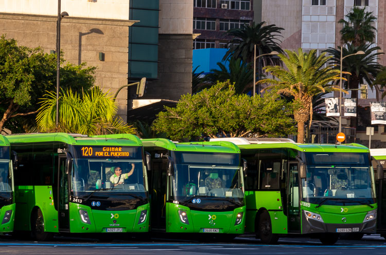 Buses at Intercambiador, Santa Cruz, Tenerife, Spain